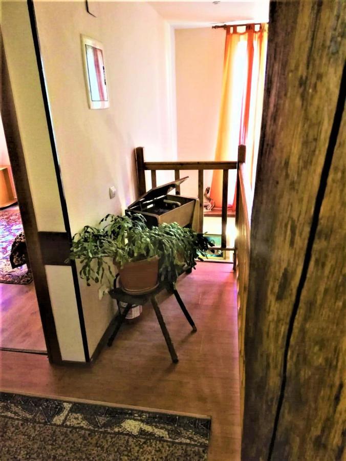 Hotel Dolce Far Niente Braşov Buitenkant foto